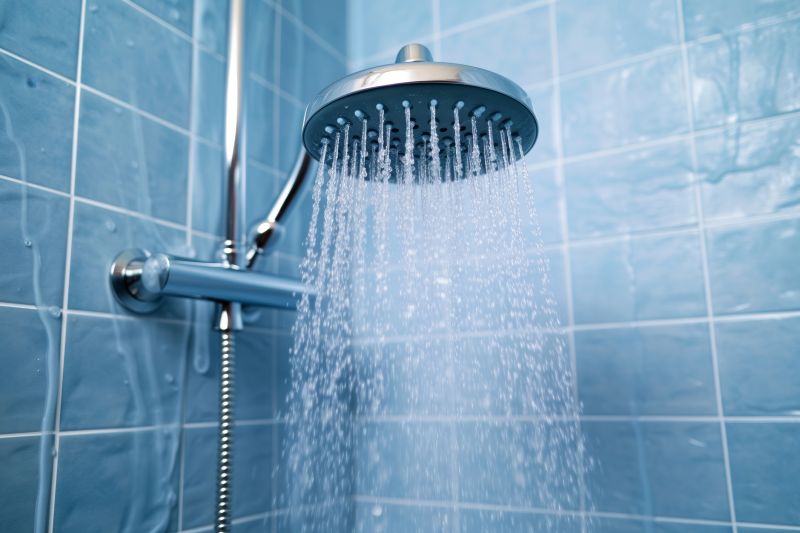 Premium Shower Features